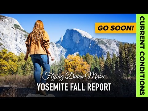 335: Yosemite Current Conditions - Yosemite Valley Fall Colors 2025 & Government Shutdown Updates