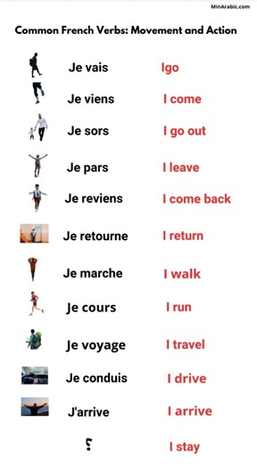 Essential French Phrases for Daily Conversations