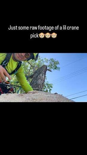 Rent A Monkey Tree Service on Reels | Facebook