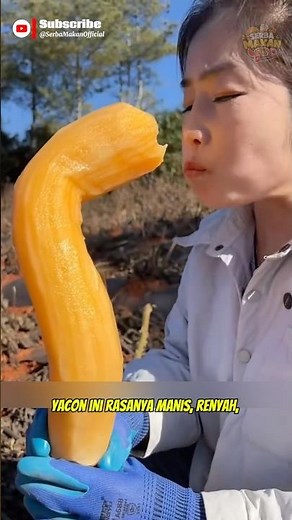 Kenalan Sama Yacon: Ubi Salju yang Rasanya Mirip Buah Pir! 🥔💧