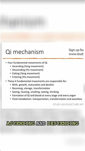 Qi Movements: Ascending, Descending, Entering, and Exiting #shorts