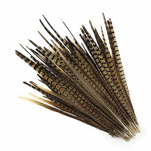 ENGLISH RINGNECK Natural Pheasant Tail Feathers 4"-28" in Various Sizes for Halloween Craft Costumes Hats Millinery Decor Vases DIY - Etsy