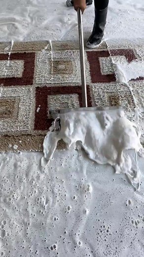 #satisfying #asmr #carpetcleaning