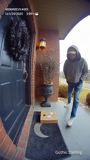 456K views · 14K reactions | these package stealing porch pirates got a surprise on security cam videos | Gothic Darling | Facebook