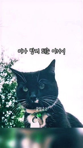 📢잃어버리지 말고 3초 해결사!👍#쿠팡 #스마트태그 #트래커 #위치추적
