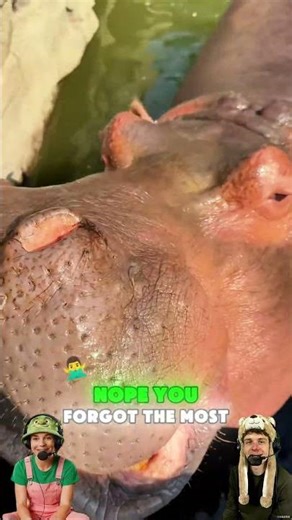 The Great Toothbrushing Negotiation! 😬 How to Get everyone to Brush The Right Way!#tips #funny