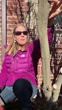 How to Prune a Burning Bush