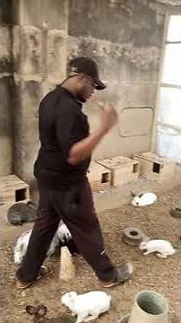 Rabbit Farming in Jos Nigeria