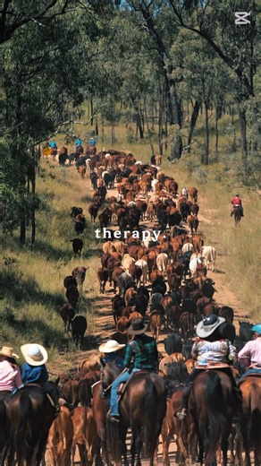 🐂 Cattle, country, and the kind of moments you don’t forget. 🤠 Real dust. Real stories. Real outback adventure. 🌾 Bring on the 2026 Eidsvold Cattle Drive — where the road is rough but the memories are gold. 🔥 Saddles, sunsets and a whole lot of spirit. 🐴 Step into the rhythm of the outback — Eidsvold style. #EidsvoldCattleDrive #CattleDrive2026 #OutbackAdventure #QueenslandOutback #VisitNorthBurnett #LifeOnTheLand #OutbackEvents #BushCulture #CountryQueensland #ExploreQLD #StockRouteStories