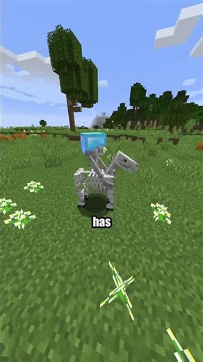Minecraft's SECRET Glitched OP Armor!