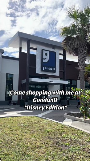 Disney Thrift Store Haul & Goodwill Finds | Disneyworld Treasures