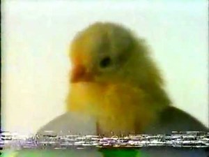 1984 TV Guide Commercial