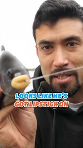 31K views · 482 reactions | Have You Ever Tried Eating Perch?  #perch #catchandcook | Fisherman's Life | Facebook