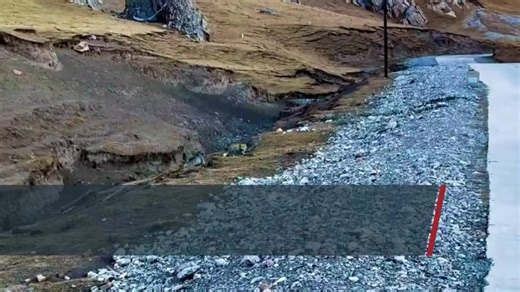 Adorable tussle between protected species caught on camera on Qinghai-Xizang Plateau A charming wildlife encounter recently unfolded on the Qinghai-Xizang Plateau, reputed as the "roof of the world", when a Pallas's cat, also known as the manul, and two Tibetan foxes engaged in a playful yet intense roadside tussle. | BastilleGlobal