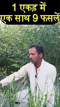 1 Acre Farm Turns into an ATM – Daily Income, Zero Expenses! | Organic Farming Success Story | Pa...