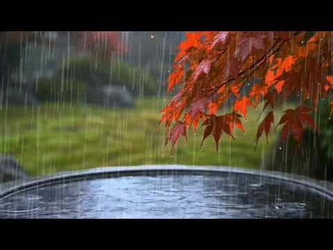 Smooth Drizzle On Pond In The Garden | Rain Sounds Therapy