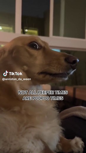 Understanding the Relationship Between Pee Pee and Poo Poo Times