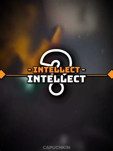 pz killer vs pz leader 2024