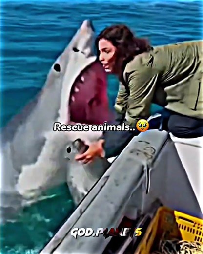 Helping hands ❤️