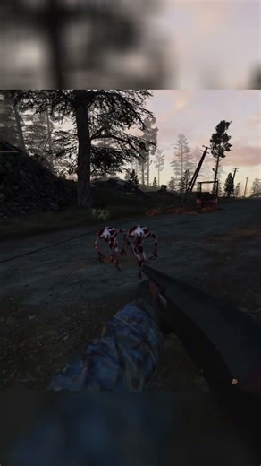 S.T.A.L.K.E.R. Anomaly: Zona