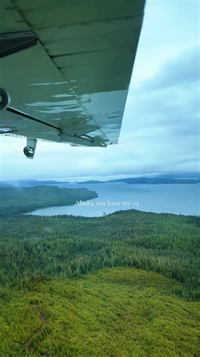 The most beautiful place #fyp #alaska #foryou