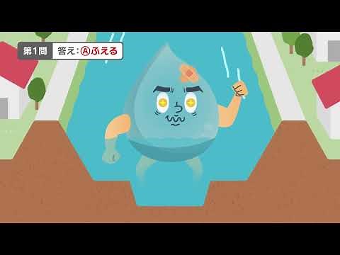 "Where the rainwater goes and the ground"