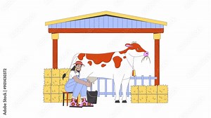 Farmer woman milking cow line cartoon animation. Agriculture activity 4K video motion graphic. Dairy farm milkmaid latin american countrywoman 2D linear animated character isolated on white background