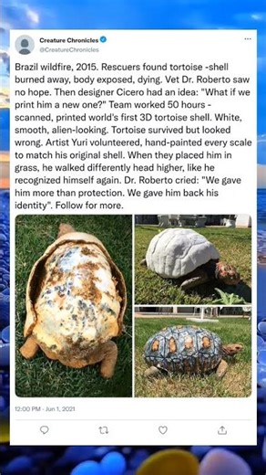 The Shell That Came From a Printer — and Changed Everything#UnexpectedInnovation