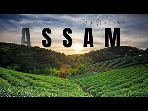 Assam’s Untouched Beauty | A Short film by Nature Documentary