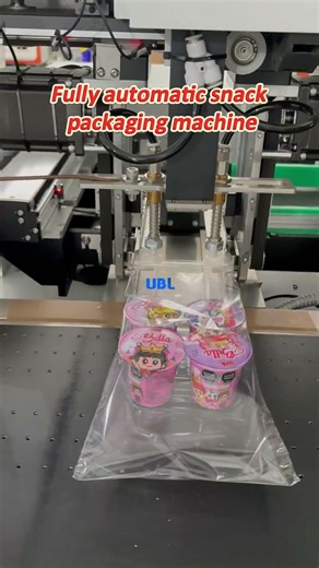 Fully automatic snack packaging machine