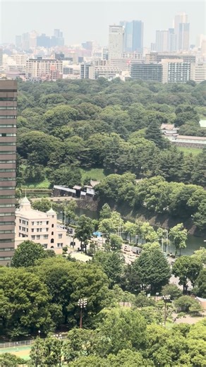 帝国ホテルから見た皇居 #2026 #imperialpalace #imperialhotel #東京旅行 #帝国ホテル #皇居 #日本必去 #東京帝國飯店 #日本住宿推薦