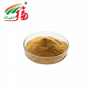 [Hot Item] Natural Pygeum Africanum Extract 10: 1