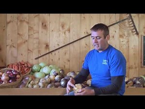 Lester's Farm Market- Farming