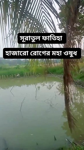 7.9K reactions · 418 shares | Unveiling History: The 4,500-Year-new Tunic at the Egyptian Museum"殺 #AncientHistory #Historical Treasures #EgyptianMuseum #BMW #archaeologylovers #EgyptianMuseum #AncientDiscoveries | 'ফরহাদ আহমেদ' | Facebook