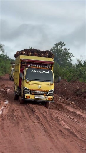 truck sawit kalimantan full muatan #automobile #trukoleng #storywa #trendingsound #shorstvidio #fypシ