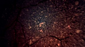 1K views · 50 reactions | Day 5 of the U.S. Army Forces Command Best...