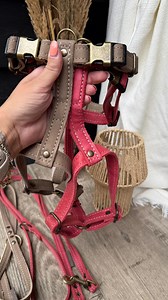 Y-tuigjes die ervoor zorgen dat je Doodle minder snel klitten krijgt. Een mooie pasvorm in verschillende maten waardoor hij altijd perfect aansluit. Gemaakt van leer en verkrijgbaar in verschillende kleuren. Daarnaast is die uit te breiden met een bijpassende leren lijn. #doodlecommunity #labradoodlepuppy #doodle #ald #australianlabradoodle #trimsalon #onlinebusiness #doodle #doodlelove #onlineshop #doodlesofinstagram | Buddha's Doodle Spa | Facebook