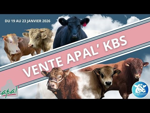 LOT 5 - VAPITI - GAEC DU SAPIN BLEU