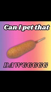 491K views · 3.8K reactions | Can I pet that dawgggg??? | Woken Memes | Facebook