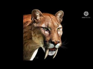 Smilodon (Sabre tooth tiger) sounds