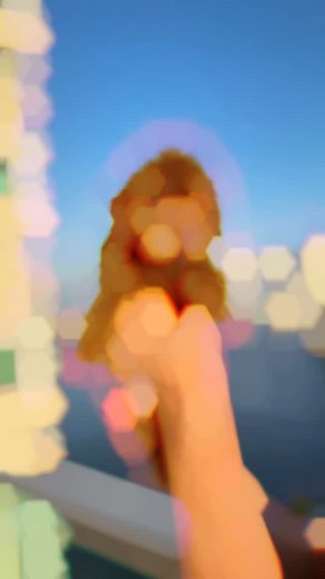 GISELLE – THE TRUE CHINESE TEDDY POODLE DOLL ✨ Meet Giselle, a deep...