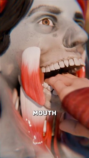 Why They Ripped Off Enemies’ Jaws 🦷😬