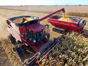 20K views · 216 reactions | We just LOVE harvest and it's #harvesttime in Central IL. Since 1898 we've been working side by side with our customers and 2016 is no different. Learn more at www.centralilag.com #CIARedIron CASE IH National Corn Growers Association IL Corn This Week in AgriBusiness Geringhoff 360 Yield Center Flying AG Illinois Farm Bureau American Farm Bureau Federation Goodyear Farm Tires Illinois Farm Families AgriNews Publications Agriculture | Central Illinois Ag | Facebook