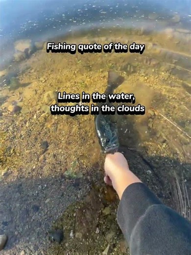 Quaker of the day#bassfishing #fishing #fypシ゚viral #charliekirk
