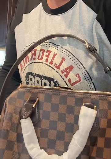 Louis Vuitton Damier Ebene Speedy 25cm Review — 5 Key Details