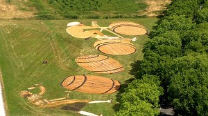 76K views · 6.1K reactions |  Some stunning Tour field art here!  Magnifique création ! #TDF2023 | Le Tour de France | Facebook