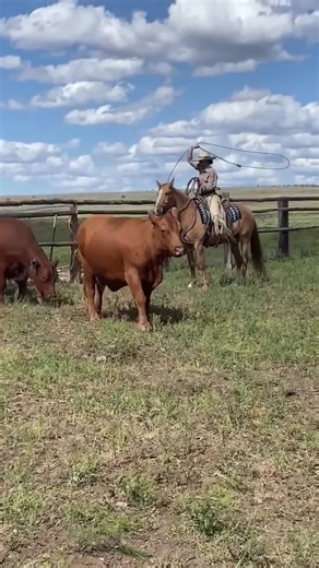 The Rare Buckaroo (@therarebuckaroo)’s videos with original sound - Black Knuckle Ranch