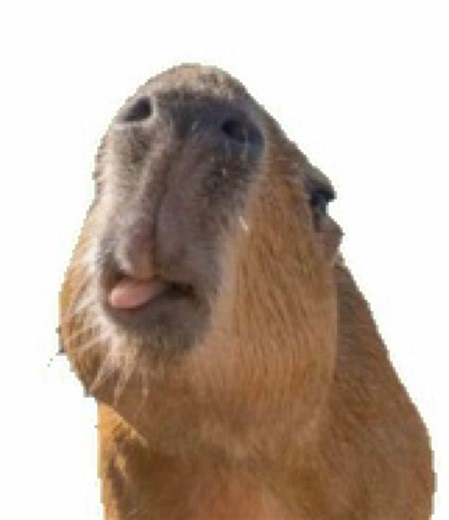 Inspo by @kaleb ☀️🐚⛈️ ! #rant this this me so long don’t flop #ddlc #rant #fyp #trend natsuki Monika yuri Sayori peak song🥹