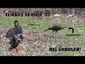 Pennsylvania Spring Turkey Season '22! Big Gobbler Kill!
