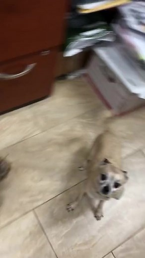 Cutest! | RAWWFishing